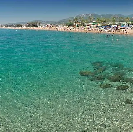 Htop Royal Sun #htopfun