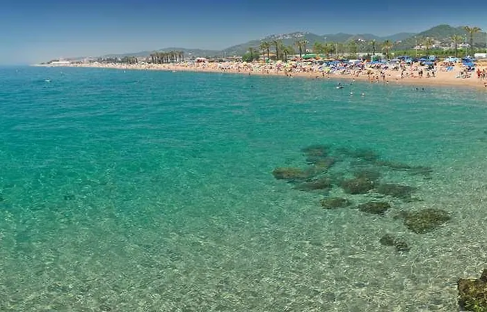 Htop Royal Sun #htopfun